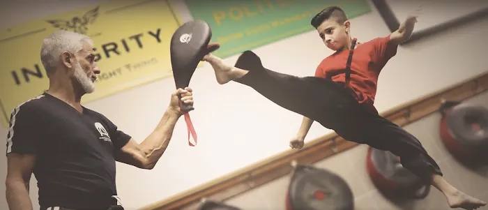 American Karate Institute Picture 10