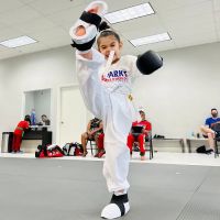 Parks Taekwondo Federation - Kendall ico