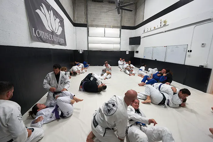 Lotus Club Miami Picture 8