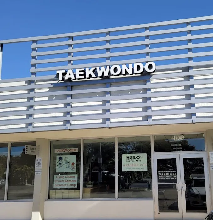 Hero Martial Arts Picture 3