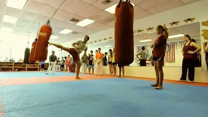 Hero Martial Arts Picture 2