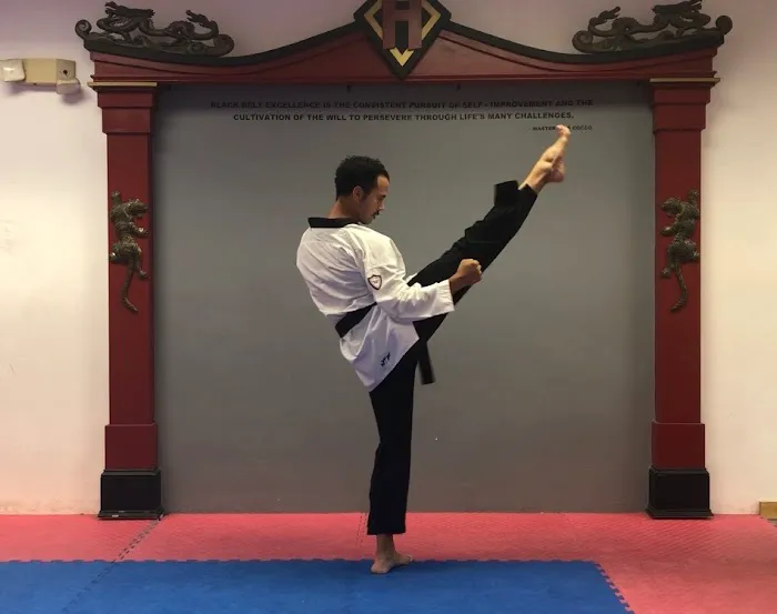 Hero Martial Arts Picture 5