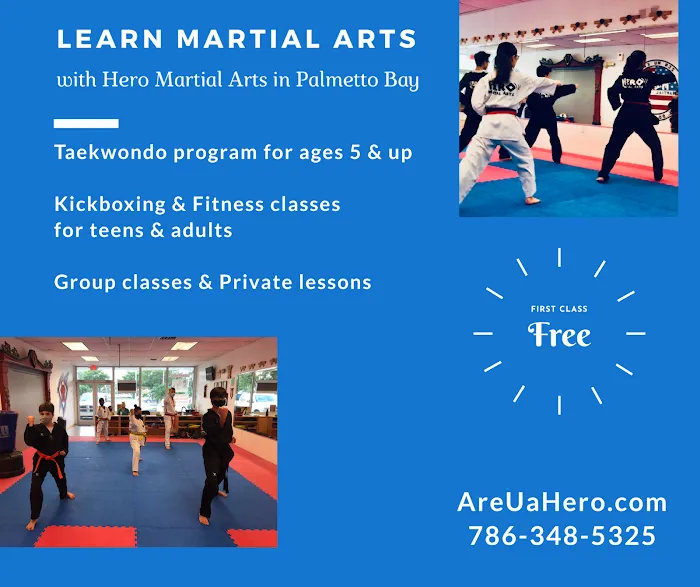 Hero Martial Arts Picture 9