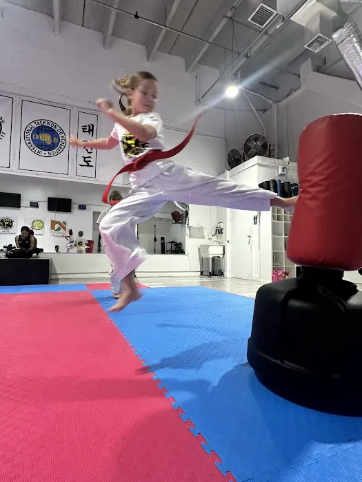 Dojang Chong Taekwon-Do ITF Miami Picture 10