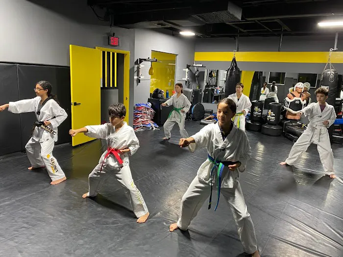 United Martial Arts School Picture 5