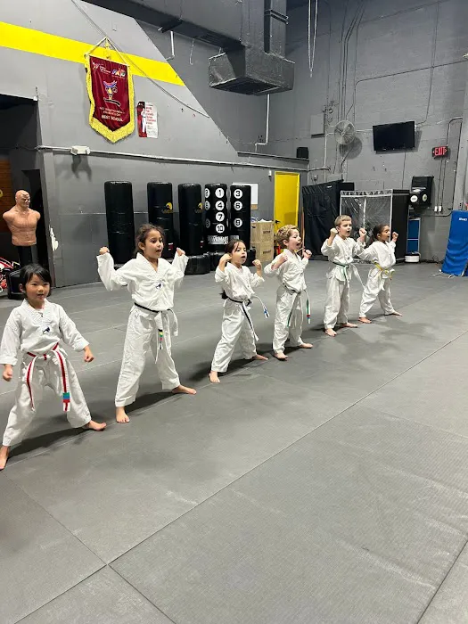 United Martial Arts School Picture 8