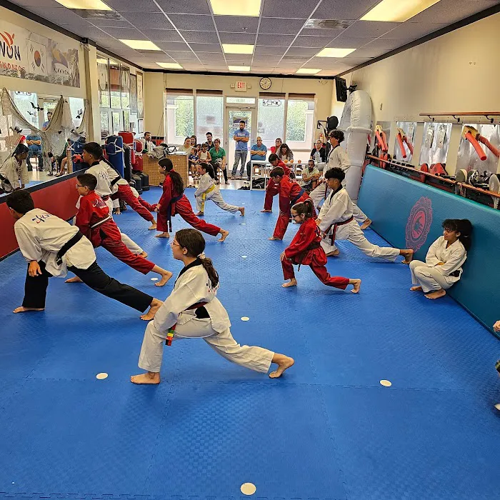 Ykwon Taekwondo Picture 2
