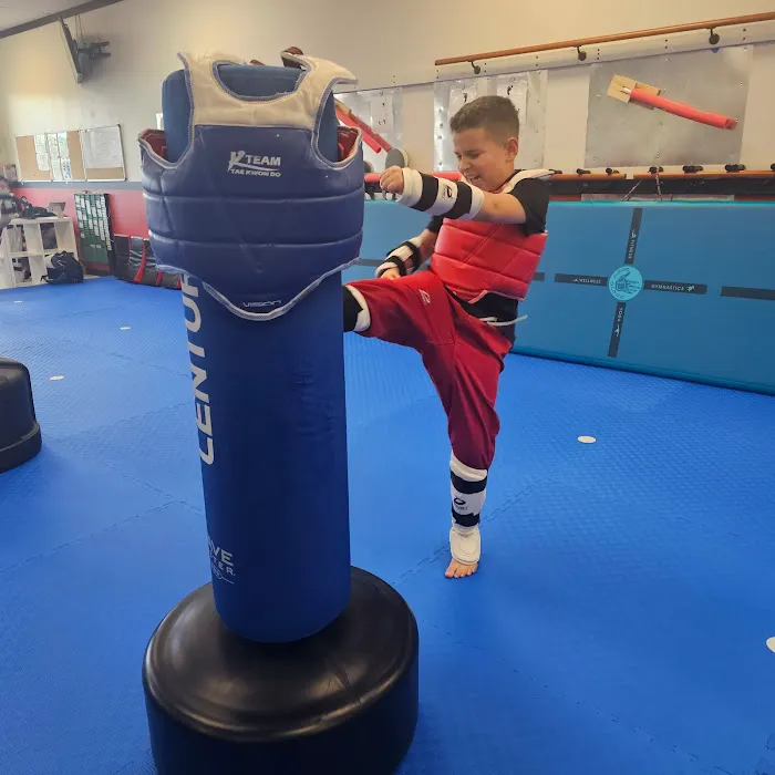 Ykwon Taekwondo Picture 1