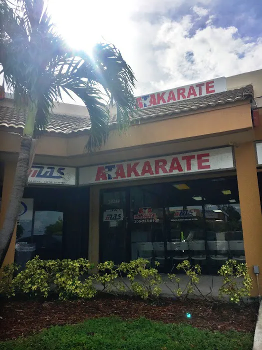 Integrity Martial Arts: Tamiami Picture 7