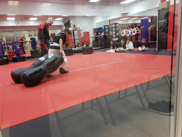 American Karate Academy #1 MMA/Karate School in Miami Picture 2