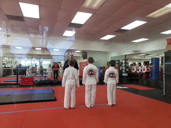 American Karate Academy #1 MMA/Karate School in Miami Picture 3