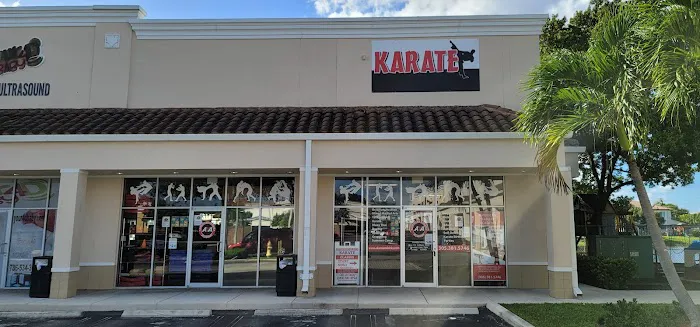 American Karate Academy #1 MMA/Karate School in Miami Picture 1