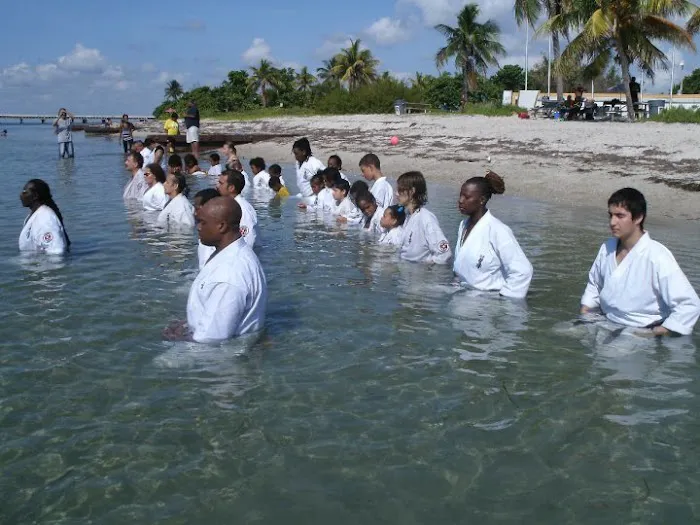 Basi Kyokushin Picture 4