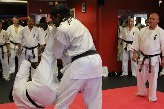 Basi Kyokushin Picture 5