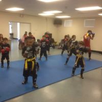 Modern Martial Arts & Fitness ico