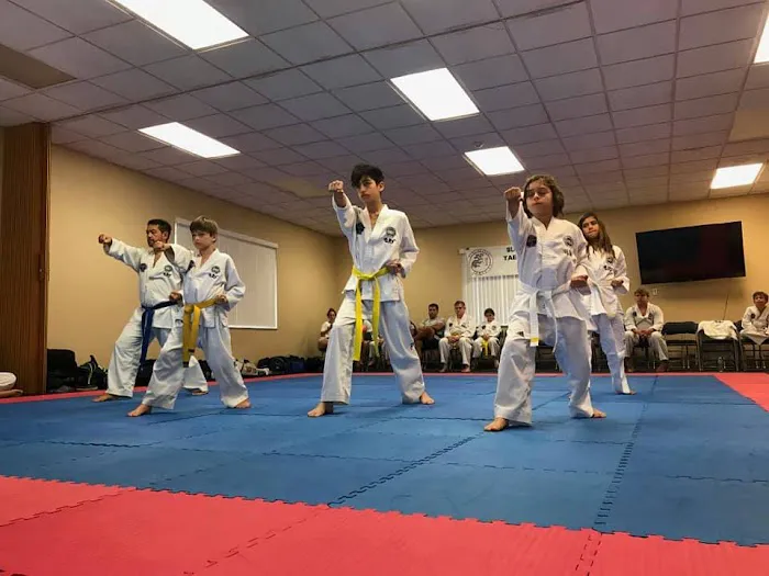 Blue Dragon Taekwon-Do Picture 2