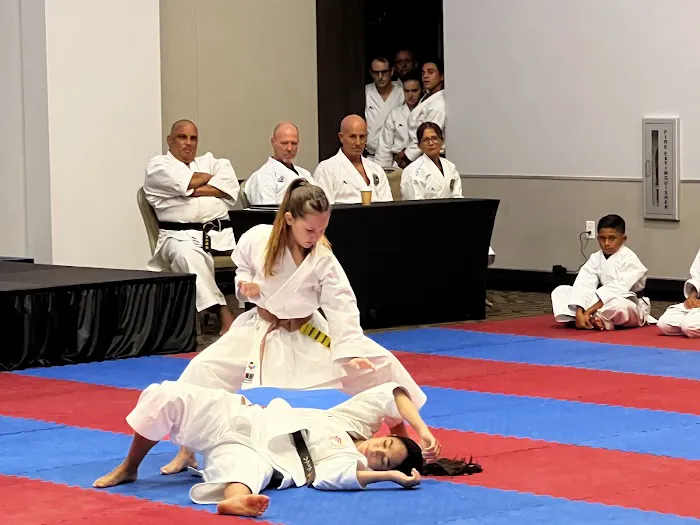 Florida Karate Clubs Picture 1
