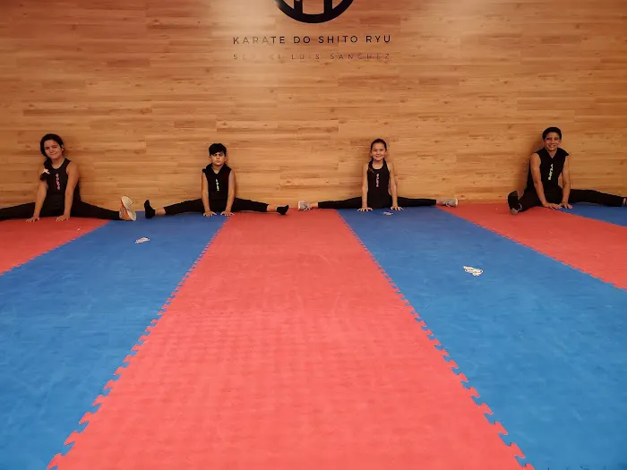 Florida Karate Clubs Picture 6