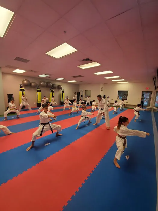 Florida Karate Clubs Picture 7