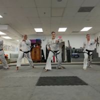 Taekwondo International School of Miami ico