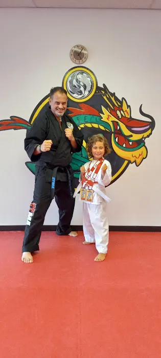 Yong Family Martial Arts Picture 4