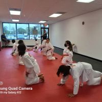 Yong Family Martial Arts ico