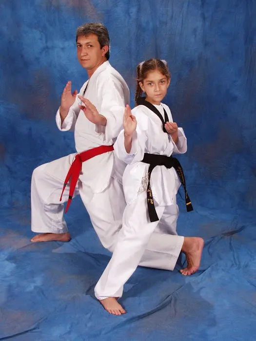 Rod's Martial Arts Kendall Hammocks Karate Picture 7