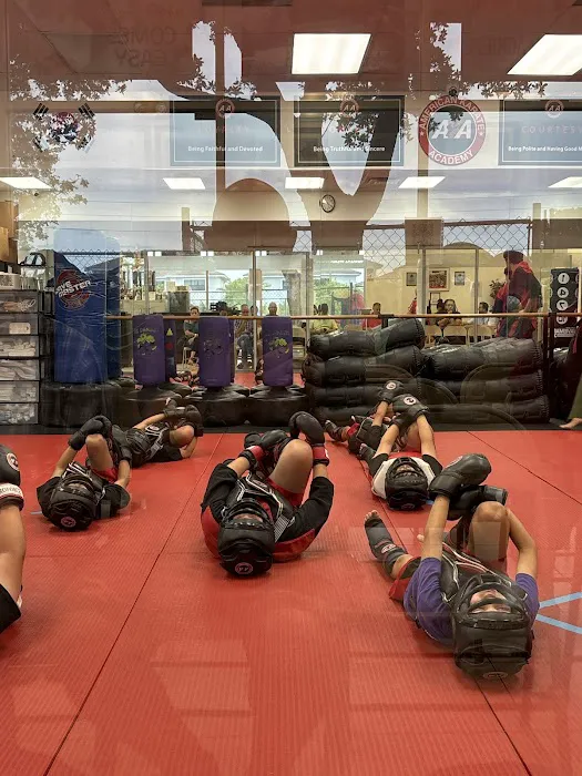 American Karate Academy #1 MMA /Karate School in Hammocks Miami Picture 5