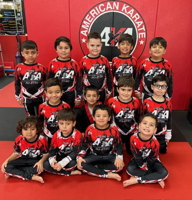 American Karate Academy #1 MMA /Karate School in Hammocks Miami Picture 7