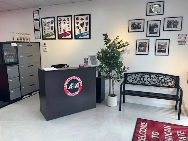 American Karate Academy #1 MMA /Karate School in Hammocks Miami Picture 9