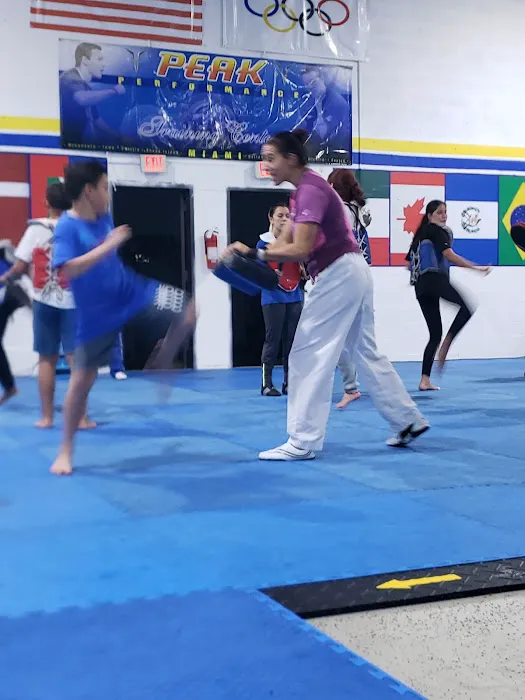 Peak Performance Miami Picture 6