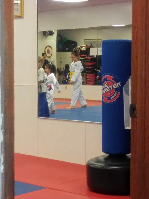 USA Tae Kwon Do School Picture 3
