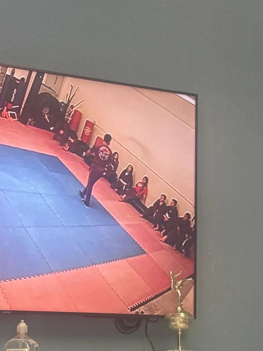 American Instinct Martial Arts Picture 1