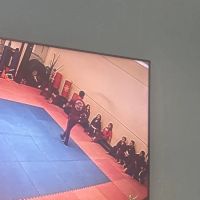 American Instinct Martial Arts ico