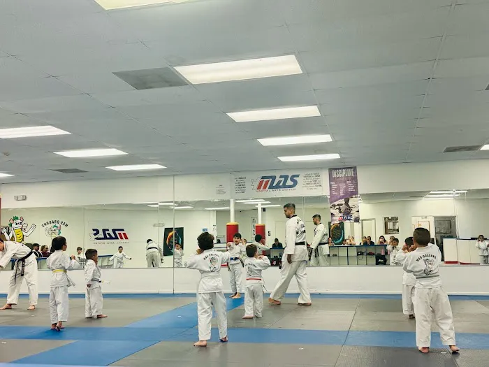 Martial Arts System (Kendall Hammocks) Picture 2