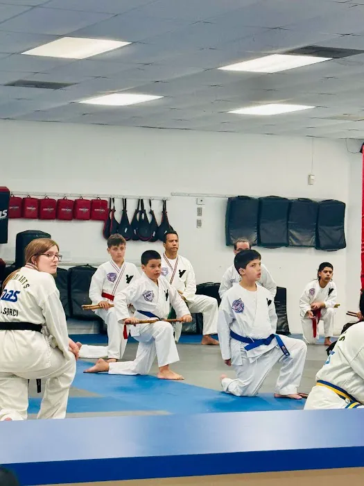 Martial Arts System (Kendall Hammocks) Picture 3