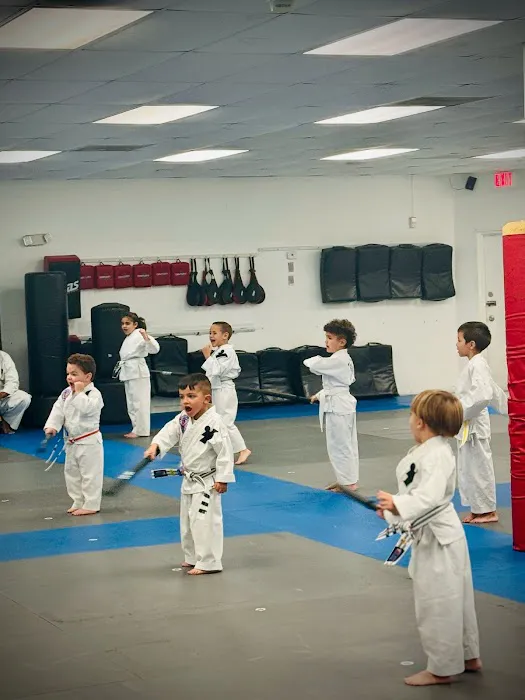 Martial Arts System (Kendall Hammocks) Picture 1