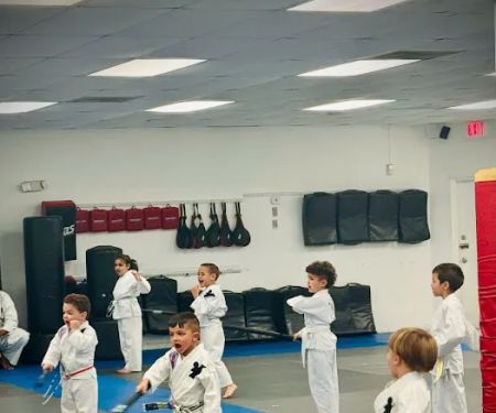 Martial Arts System (Kendall Hammocks)