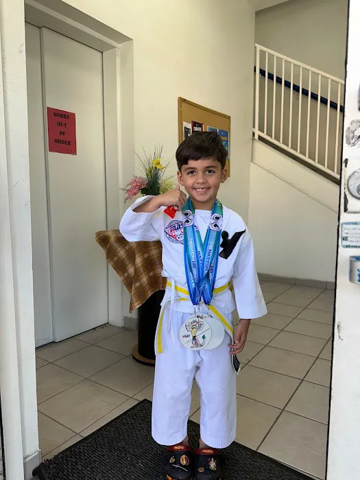 Martial Arts System (Kendall Hammocks) Picture 6