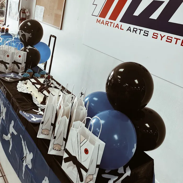 Martial Arts System (Kendall Hammocks) Picture 5