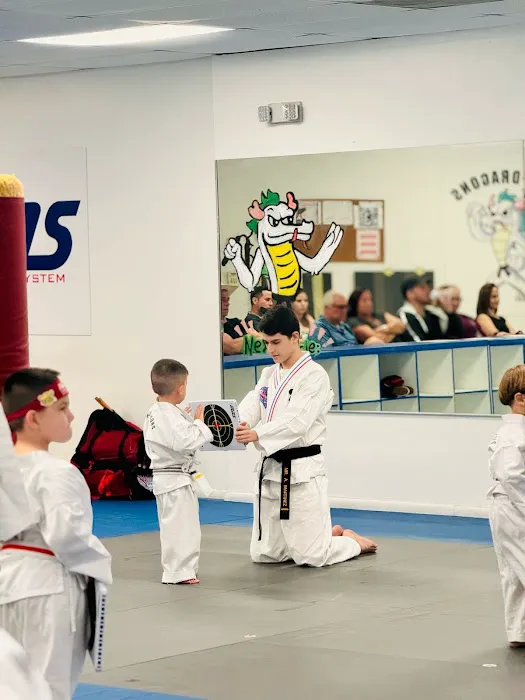 Martial Arts System (Kendall Hammocks) Picture 8