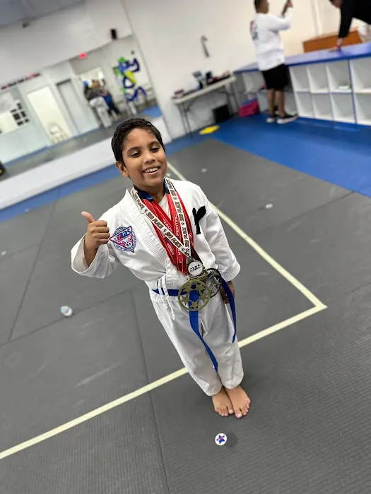 Martial Arts System (Kendall Hammocks) Picture 7