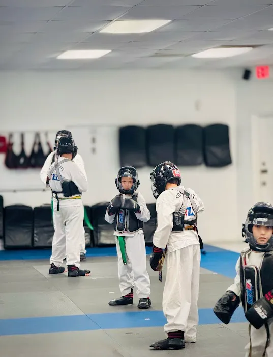 Martial Arts System (Kendall Hammocks) Picture 10