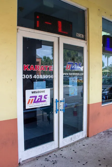 Martial Arts System (Kendall Hammocks) Picture 9