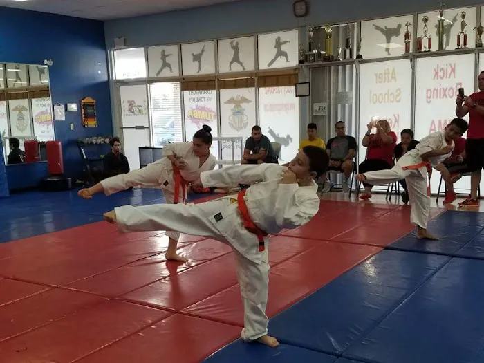 Tiger & Dragon Miami | After School Program & Martial Arts School Picture 3