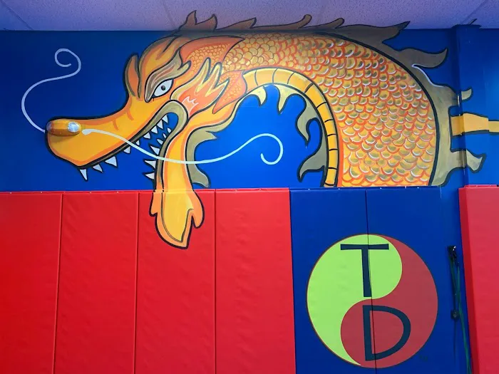 Tiger & Dragon Miami | After School Program & Martial Arts School Picture 5