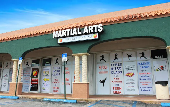Tiger & Dragon Miami | After School Program & Martial Arts School Picture 6