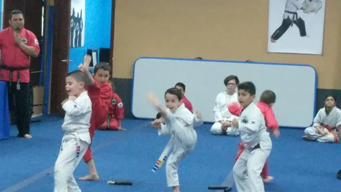 Black Belt For Life Studios Picture 2