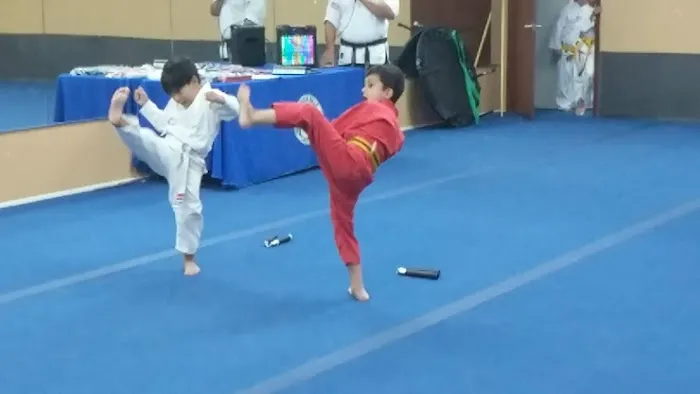 Black Belt For Life Studios Picture 1