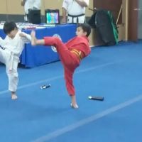 Black Belt For Life Studios ico